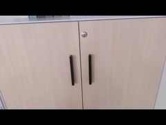 Dünne Pendeltür-Kabinett-Doppelschichten des Rand-5mm überziehen Stahlbüro-Kabinett